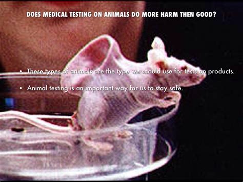 does prada test on animals